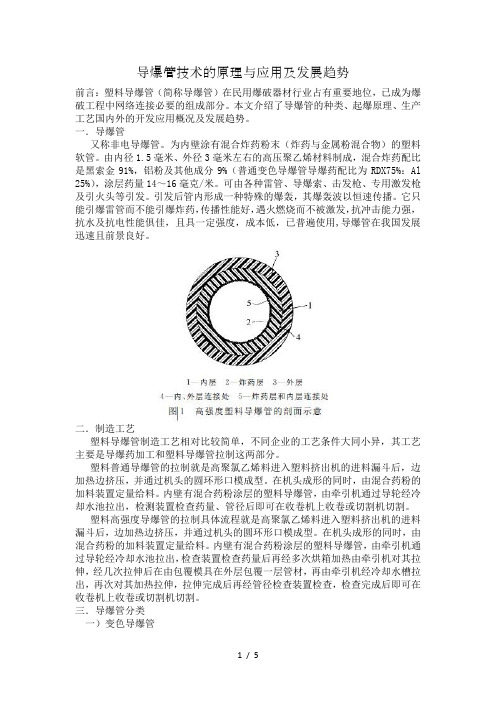 导爆管技术的原理与应用及发展趋势