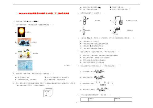 安徽省阜阳市颍上县2018-2019学年九年级化学上学期期末试卷(含解析)