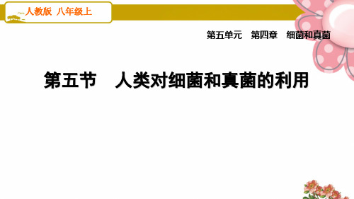 人教版八年级生物上册4.5 人类对细菌和真菌的利用