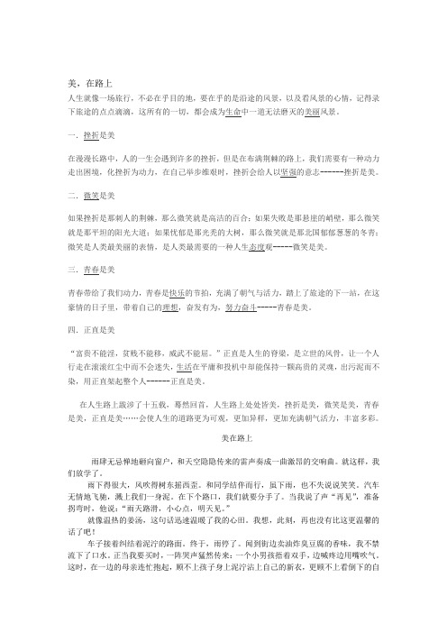 美在路上  满分作文6篇