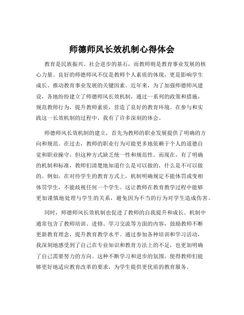 师德师风长效机制心得体会