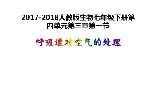 七年级生物下册4.3.1呼吸道对空气的处理课件(新版)新人教版