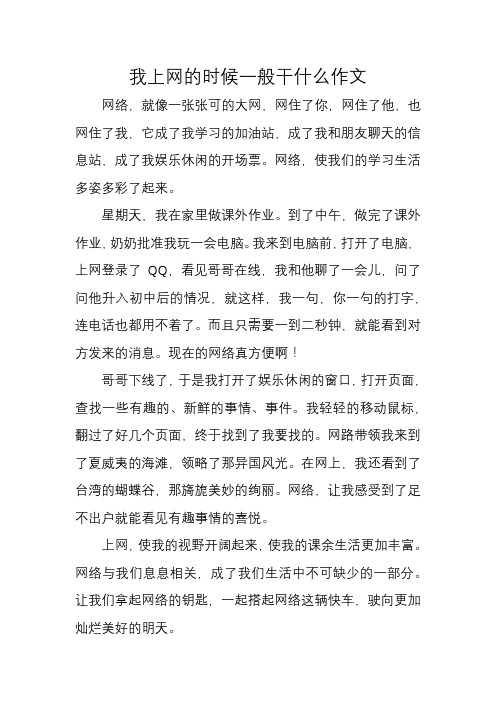 我上网的时候一般干什么作文