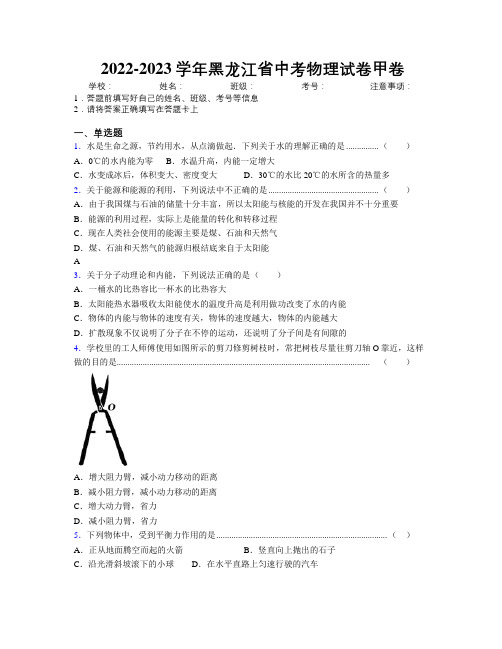 2022-2023学年黑龙江省中考物理试卷甲卷附解析