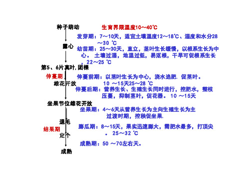 种南瓜注意事项