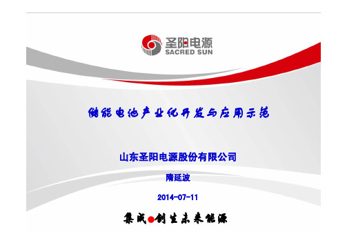储能电池产业化开发与应用示范(圣阳)