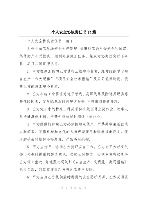 个人安全协议责任书13篇