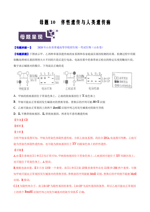 专题10 伴性遗传与人类遗传病-2020年高考生物母题题源全揭秘(原卷word版)