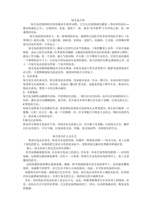 绿毛龟