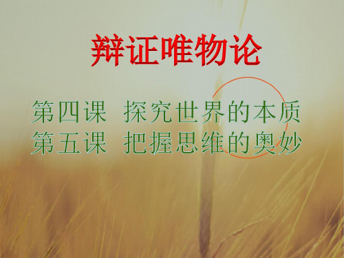 最新-高三政治课件2021届高考政治第二轮知识点复习课件19 精品