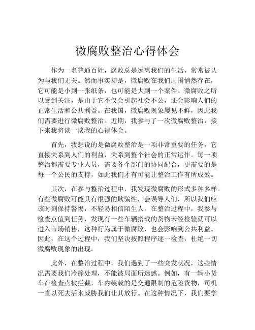 微腐败整治心得体会 (2)