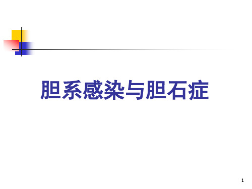 胆囊炎、胆石症PPT演示课件