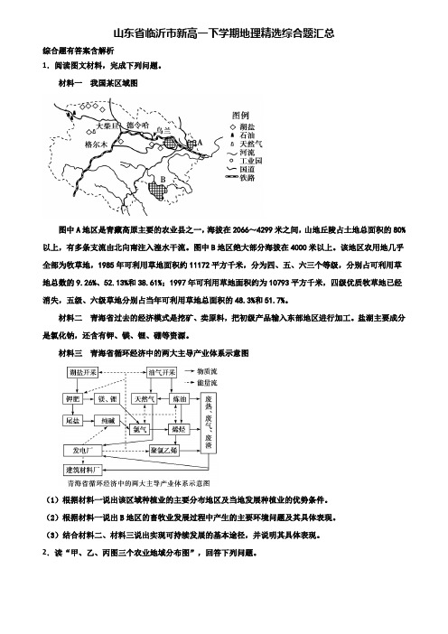 山东省临沂市新高一下学期地理精选综合题汇总含解析