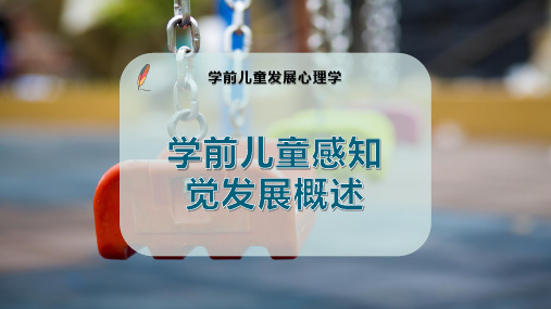 学前儿童感知觉发展概述