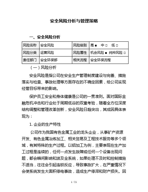 重大风险分析与管理策略安全风险