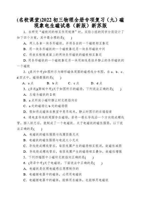 (名校课堂)2022初三物理全册专项复习(九)磁现象电生磁试卷(新版)新苏版