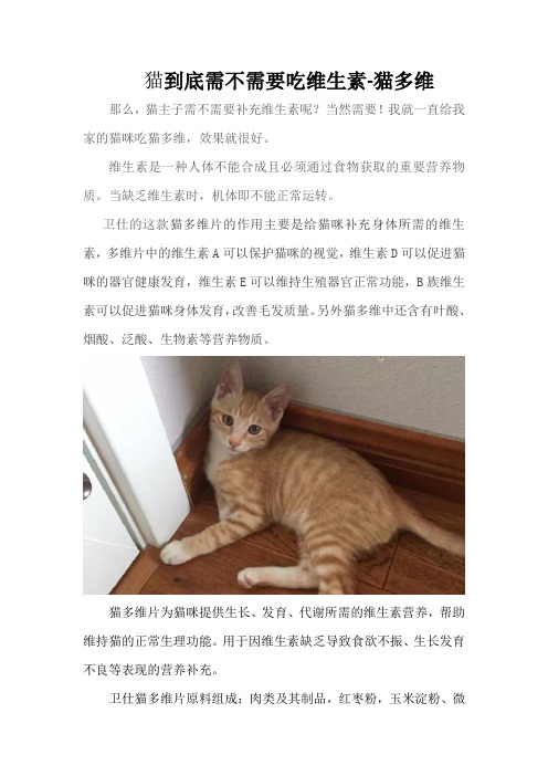 猫到底需不需要吃维生素-猫多维