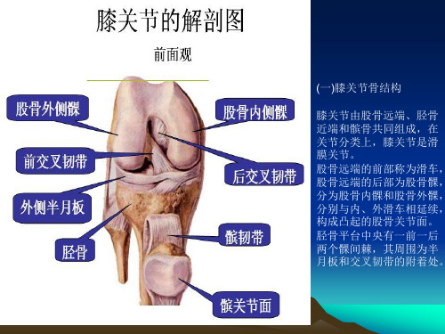 医学专题膝关节镜手术后的康复