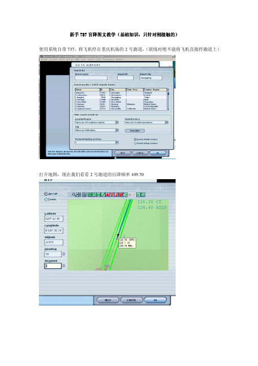 新手737 盲降图文教学