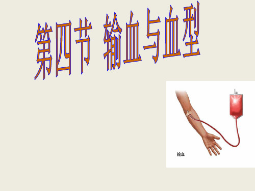 《输血与血型》课件PPT