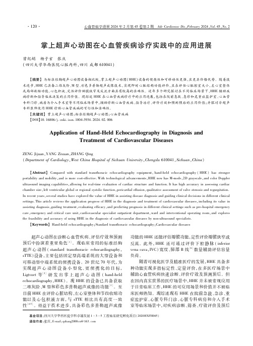 掌上超声心动图在心血管疾病诊疗实践中的应用进展