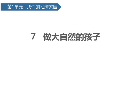 二年级上册科学课件17做大自然的孩子 教科版(共13页)PPT