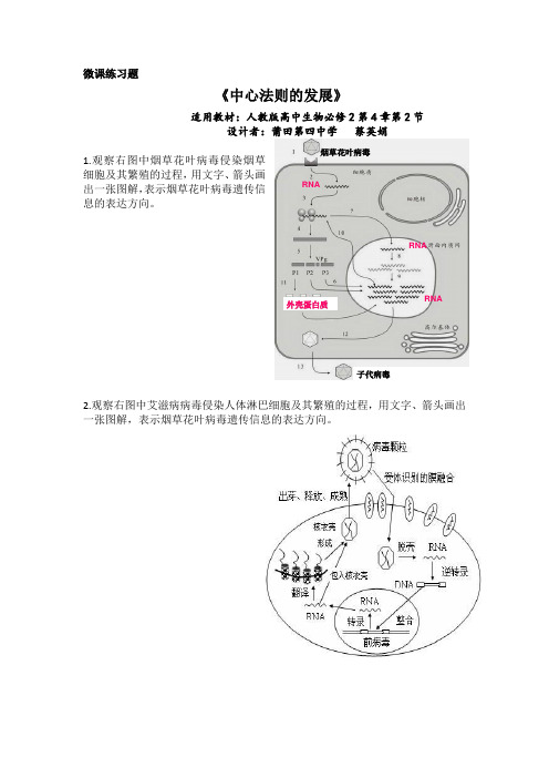 福建省2018年学年会微课展示生物必修二4.2基因对形状的控制中心法则的发展练习题