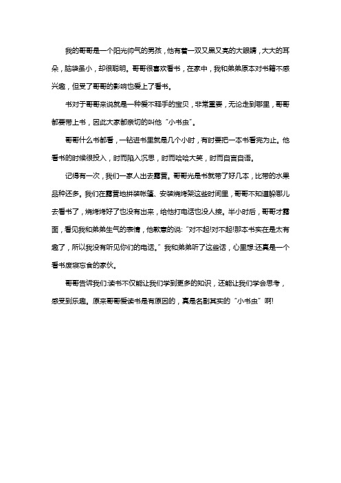 哥哥我的偶像小书虫作文