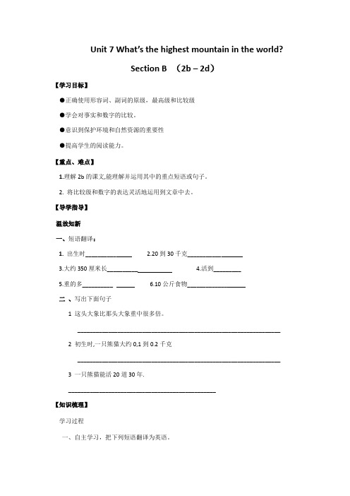 英语人教版八年级下册Unit7SectionB(2a-2b)