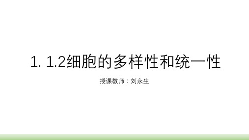 1.2 细胞的统一性和多样性 PPT教学课件【新教材】人教版高中生物必修一