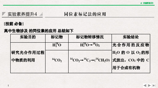 实验素养提升4 同位素标记法的应用ppt