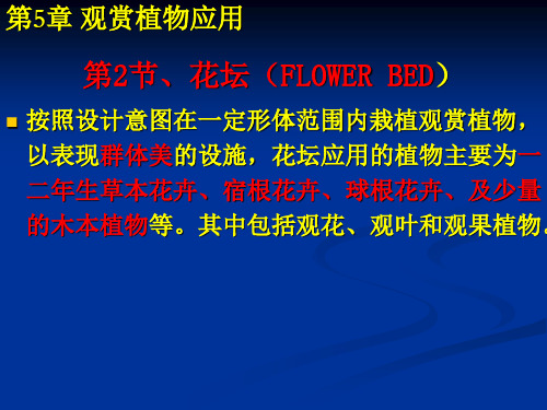 常见植物识别PPT课件:第5章2节花坛