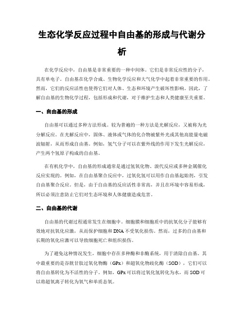 生态化学反应过程中自由基的形成与代谢分析