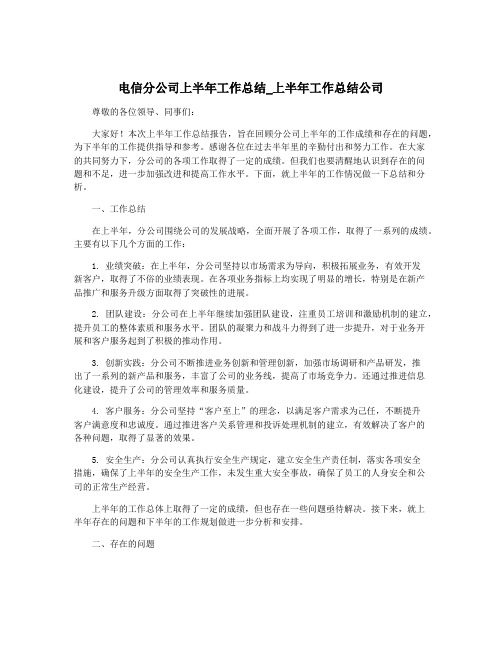 电信分公司上半年工作总结_上半年工作总结公司