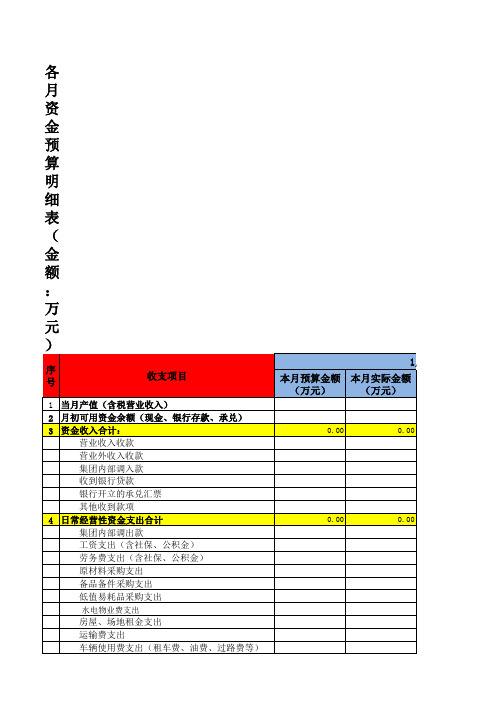 资金预算 计划 表