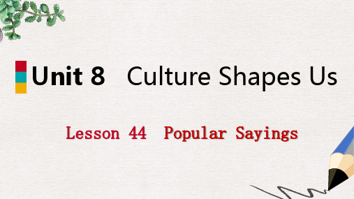 【推荐】九年级英语下册Unit8CultureShapesUsLesson44PopularSayings课件新版冀教版