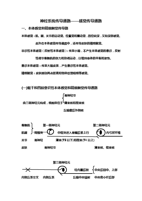 神经系统传导通路(修改)