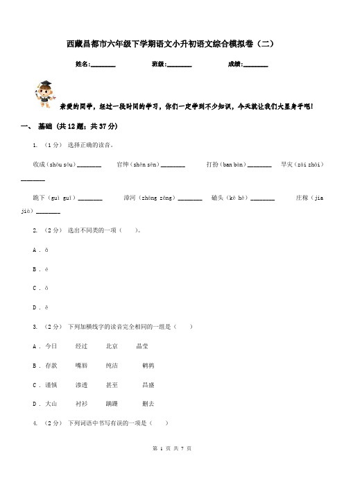 西藏昌都市六年级下学期语文小升初语文综合模拟卷(二)