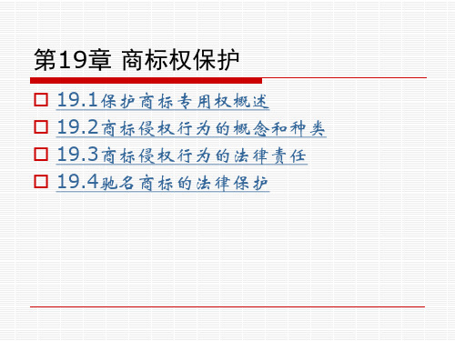 第19章  商标权保护  《知识产权法》PPT课件