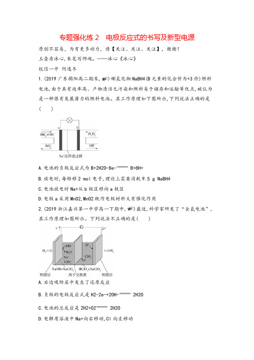 化学人教版 必修第2册专题强化练2 电极反应式的书写及新型电源