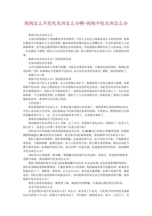 狗狗怎么不乱吃东西怎么办啊-狗狗不吃东西怎么办