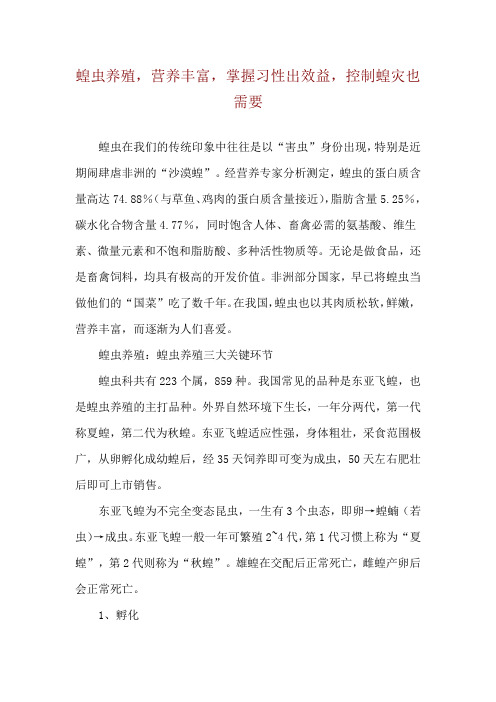 蝗虫养殖,营养丰富,掌握习性出效益,控制蝗灾也需要