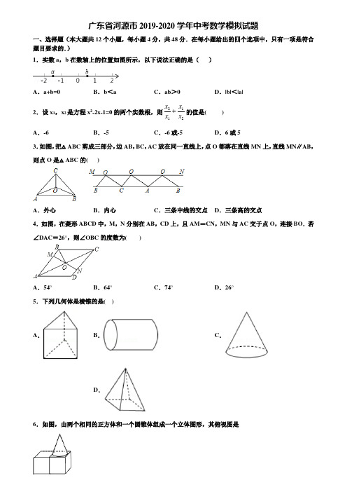 广东省河源市2019-2020学年中考数学模拟试题含解析