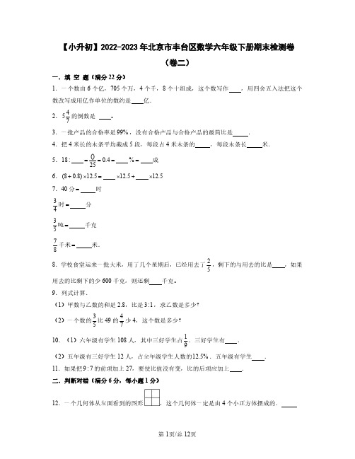 【小升初】2022-2023学年北京市丰台区数学六年级下册期末检测卷(卷二)含解析