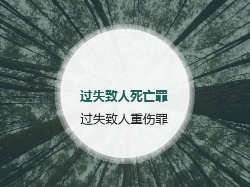 第24章2侵犯公民人身权利、民主权利罪