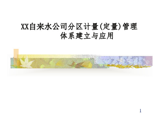 XX自来水公司分区计量(定量)管理体系建立与应用