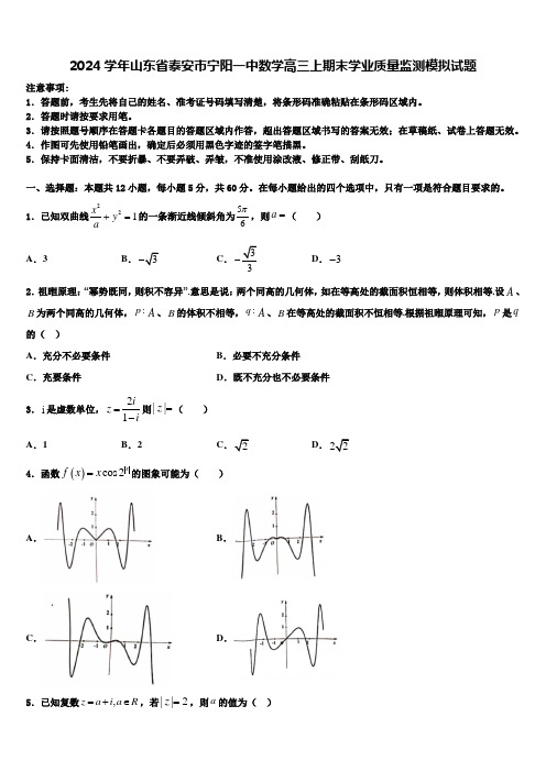 2024学年山东省泰安市宁阳一中数学高三上期末学业质量监测模拟试题含解析