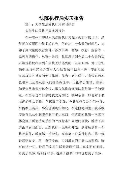 法院执行局实习报告