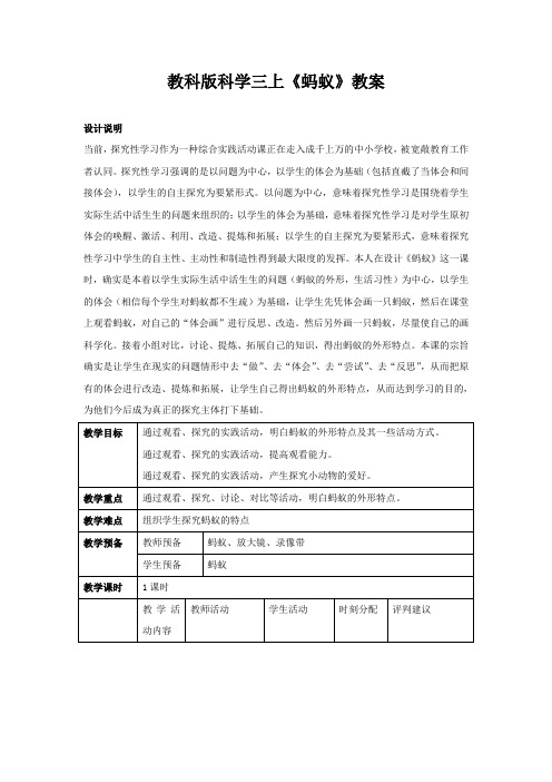 教科版科学三上《蚂蚁》教案