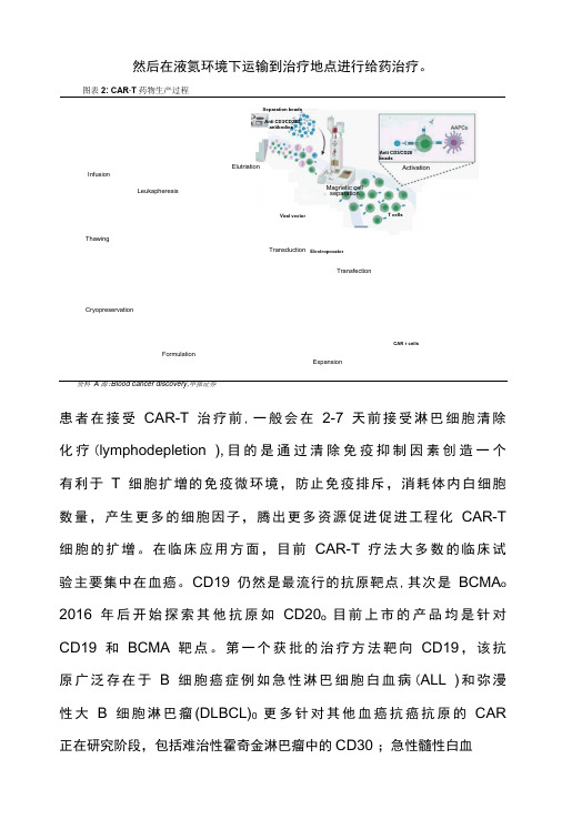 CAR-T行业深度研究报告